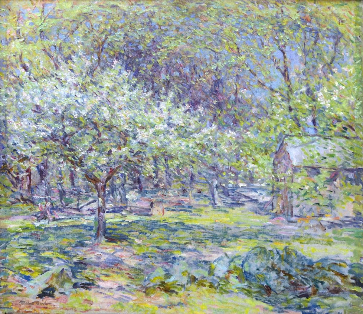 Fiori di melo - Reading Public Museum